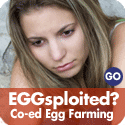 eggsploited