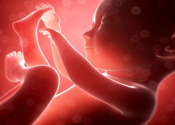 20 Week Abortion Restriction: Pain-Capable Unborn Children